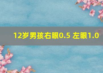 12岁男孩右眼0.5 左眼1.0